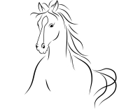 Latvian horse